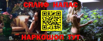 шишки Обнинск