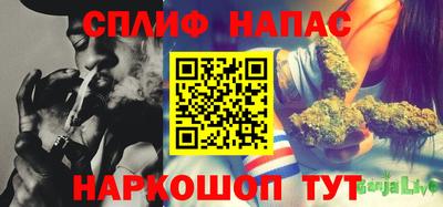 шишки Обнинск