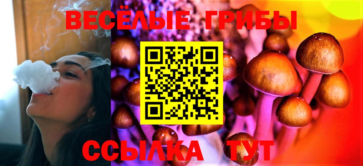 Псилоцибиновые грибы Psilocybe  Вход с VPN  Строитель 